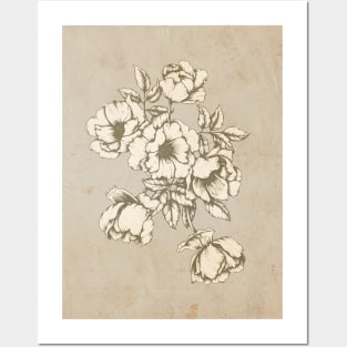 Vintage roses Posters and Art